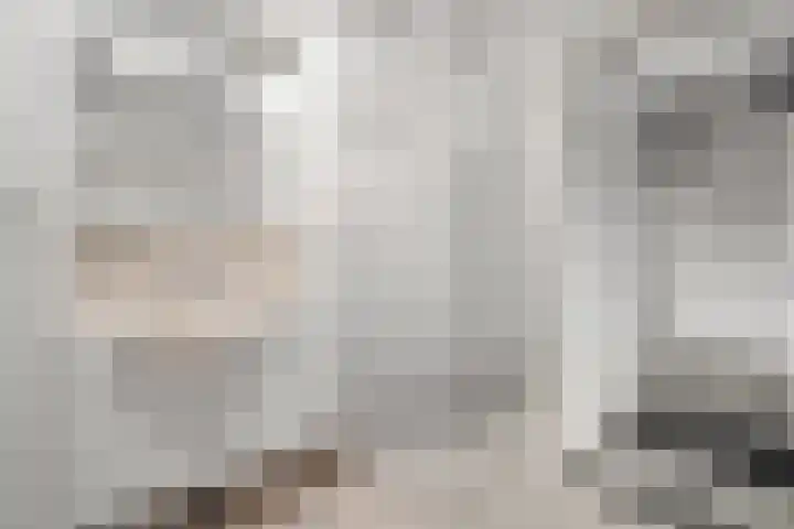 Vivaldi 13 Dedemsvaart thumbnail 24
