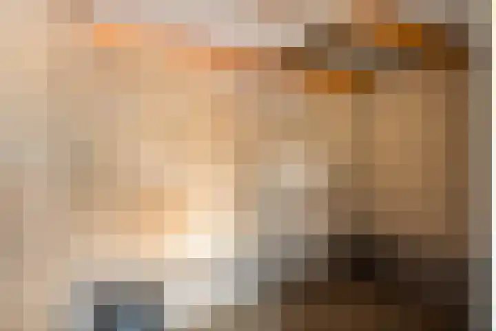 Vivaldi 13 Dedemsvaart thumbnail 26