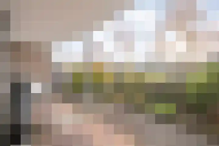 Vivaldi 13 Dedemsvaart thumbnail 27