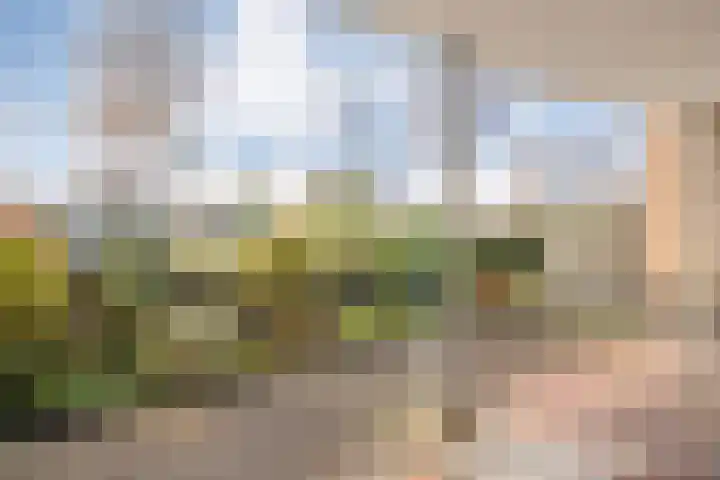Vivaldi 13 Dedemsvaart thumbnail 29