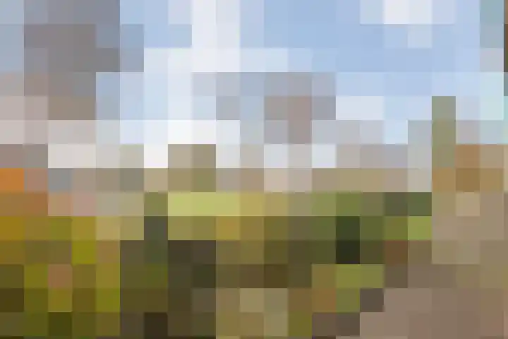 Vivaldi 13 Dedemsvaart thumbnail 30