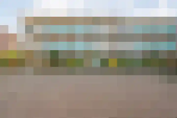 Vivaldi 13 Dedemsvaart thumbnail 31