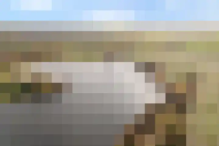 Vivaldi 13 Dedemsvaart thumbnail 32
