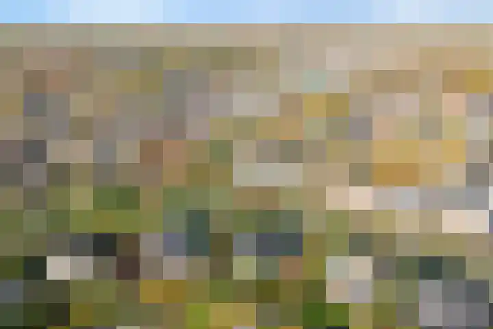 Vivaldi 13 Dedemsvaart thumbnail 33