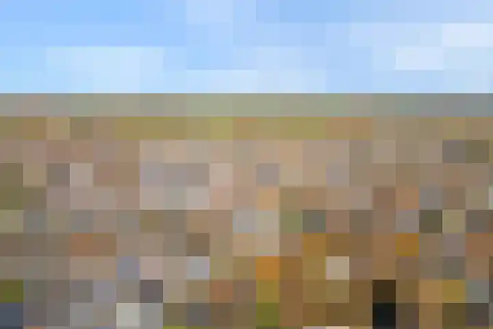 Vivaldi 13 Dedemsvaart thumbnail 34