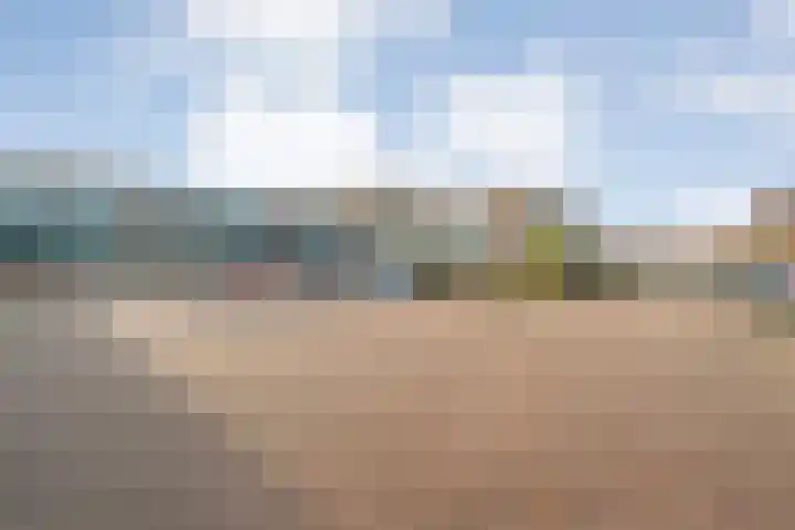 Vivaldi 13 Dedemsvaart thumbnail 35