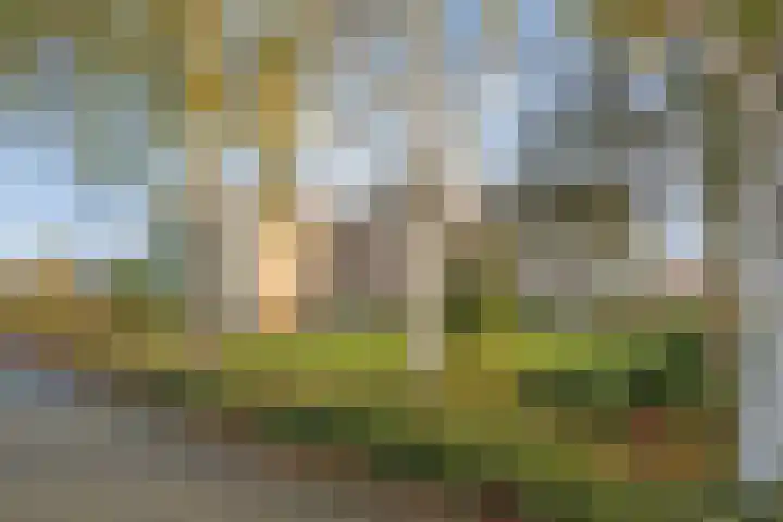 Vivaldi 13 Dedemsvaart thumbnail 36