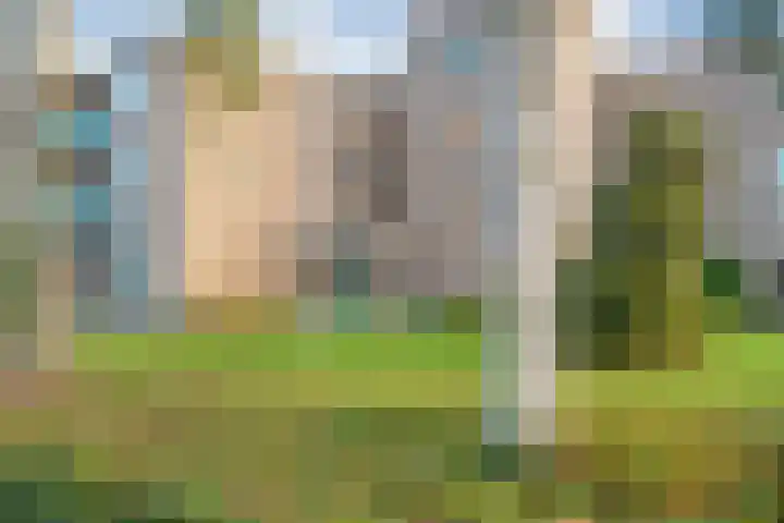 Vivaldi 13 Dedemsvaart thumbnail 37