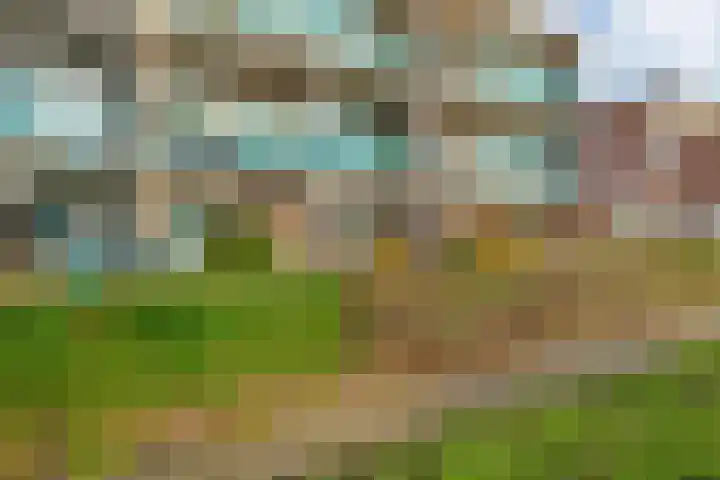 Vivaldi 13 Dedemsvaart thumbnail 38