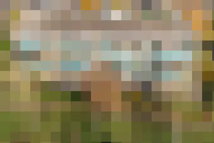 Vivaldi 13 Dedemsvaart thumbnail 4