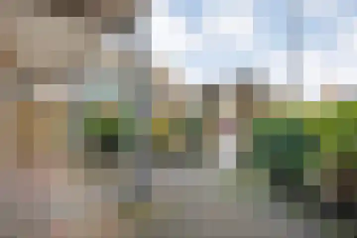 Vivaldi 13 Dedemsvaart thumbnail 42