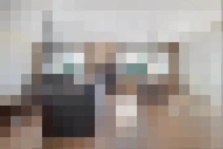 Vivaldi 13 Dedemsvaart thumbnail 8