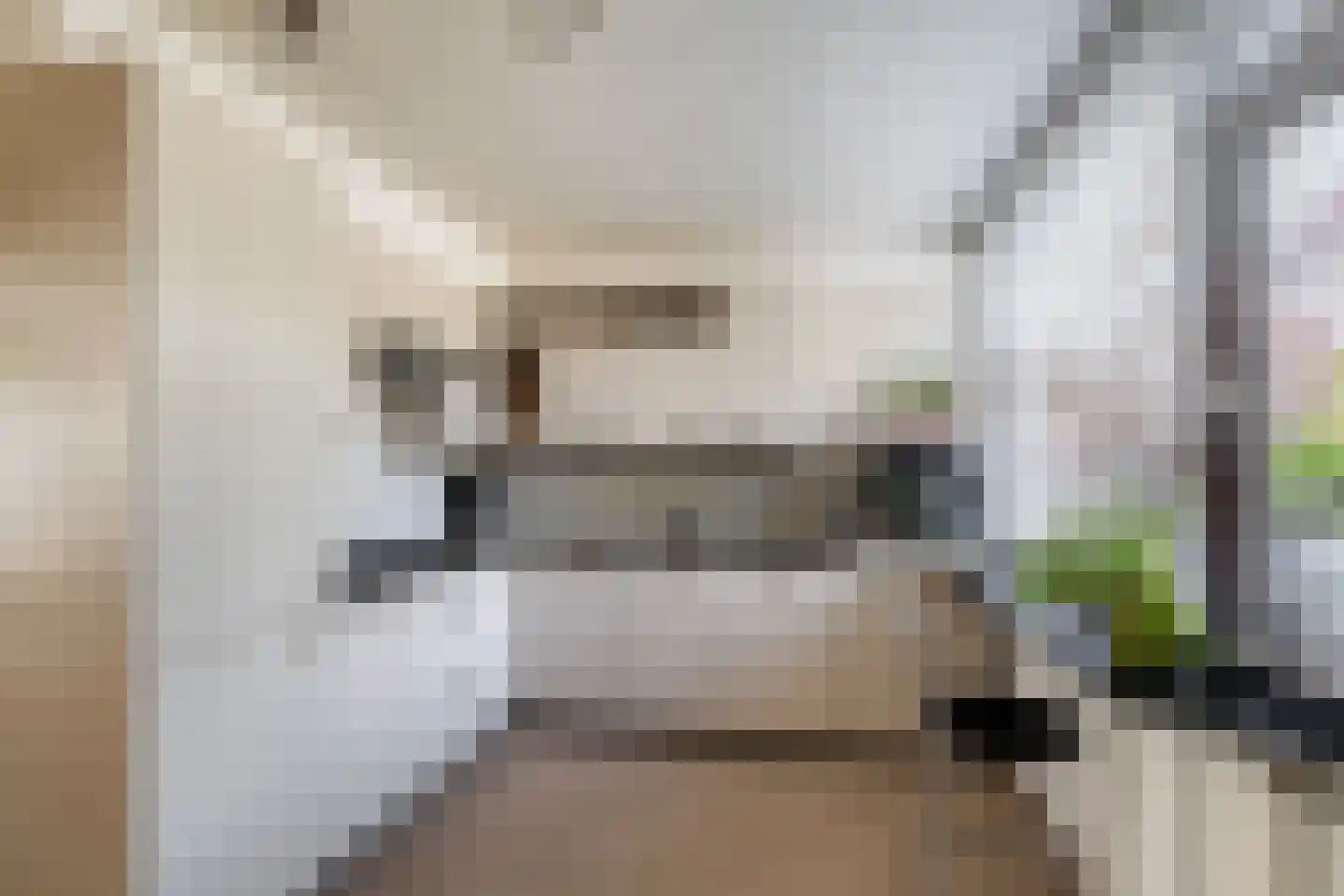 Vivaldi 13 Naaldwijk thumbnail 10