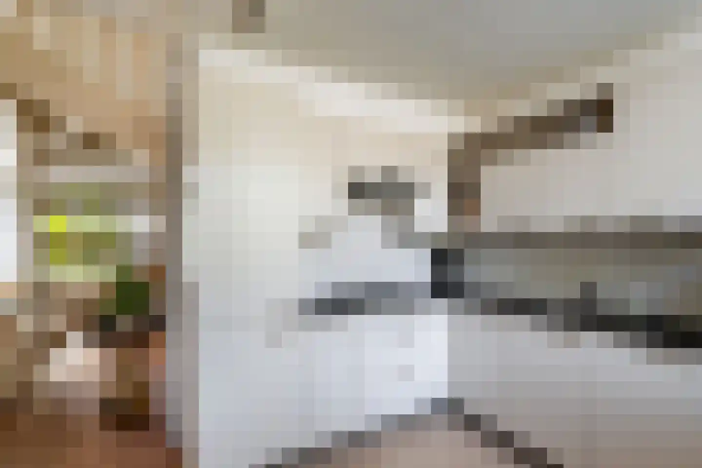 Vivaldi 13 Naaldwijk thumbnail 11