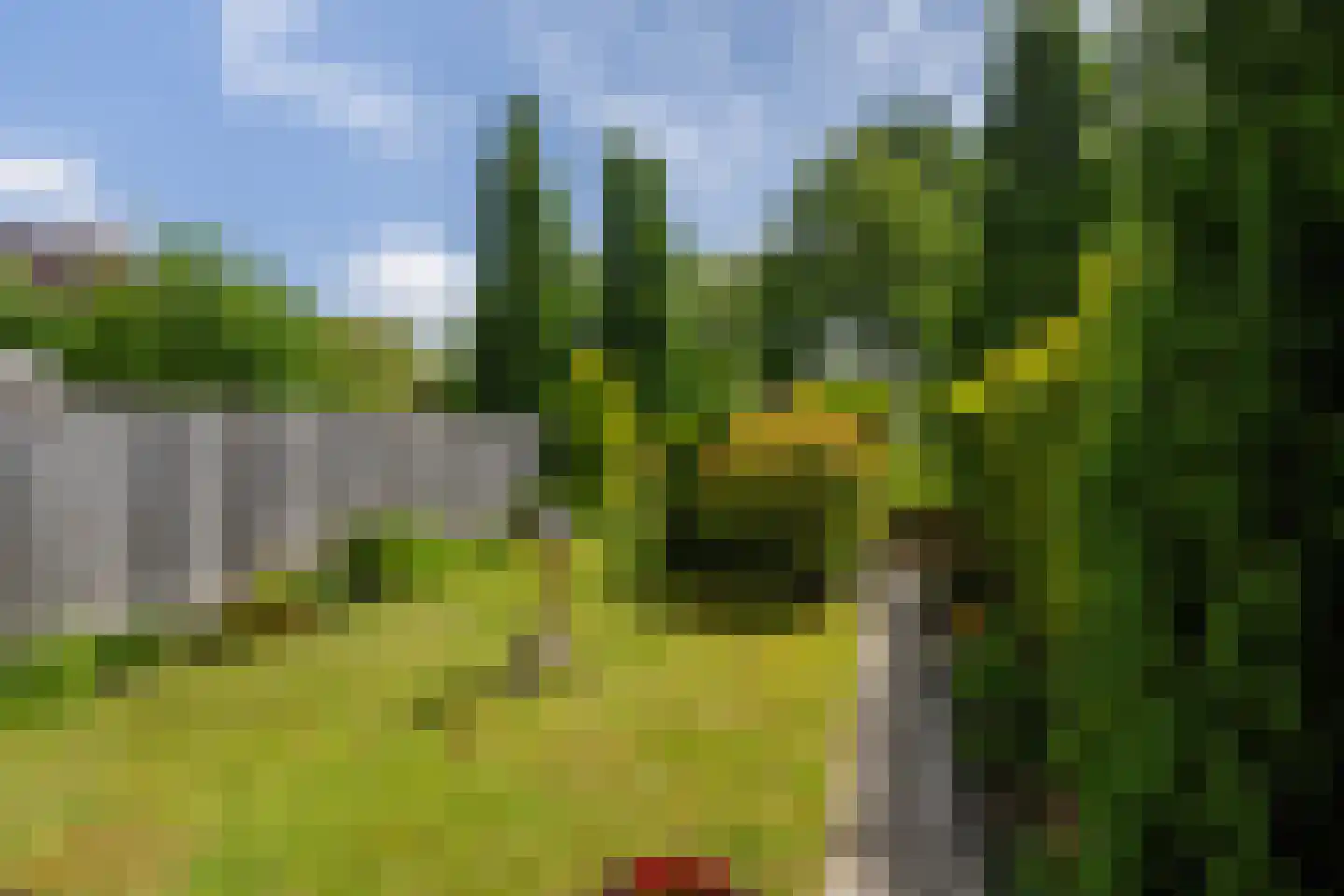 Vivaldi 13 Naaldwijk thumbnail 13