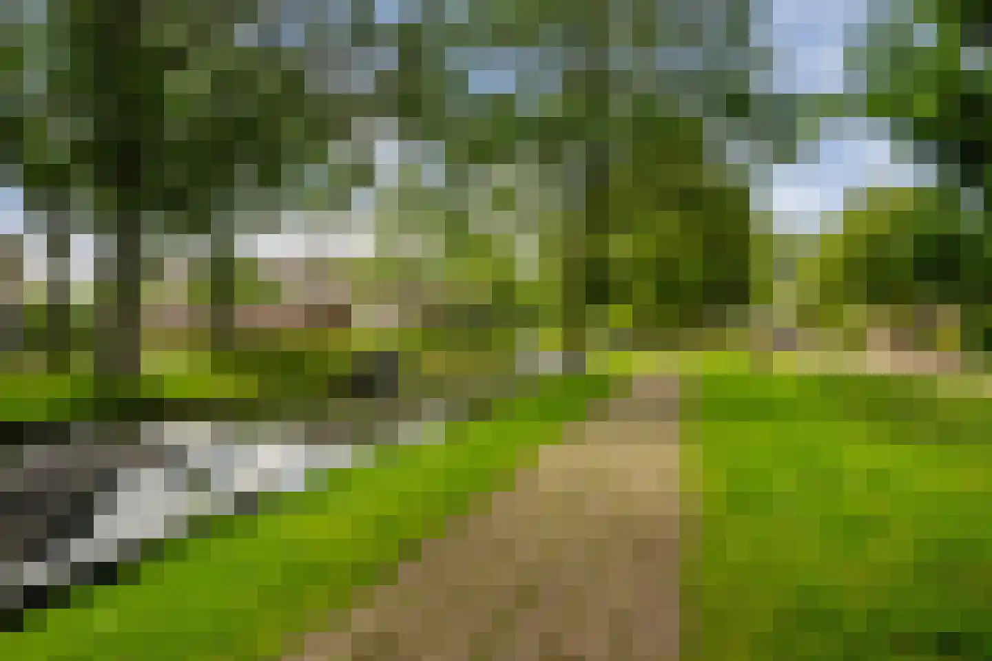 Vivaldi 13 Naaldwijk thumbnail 35