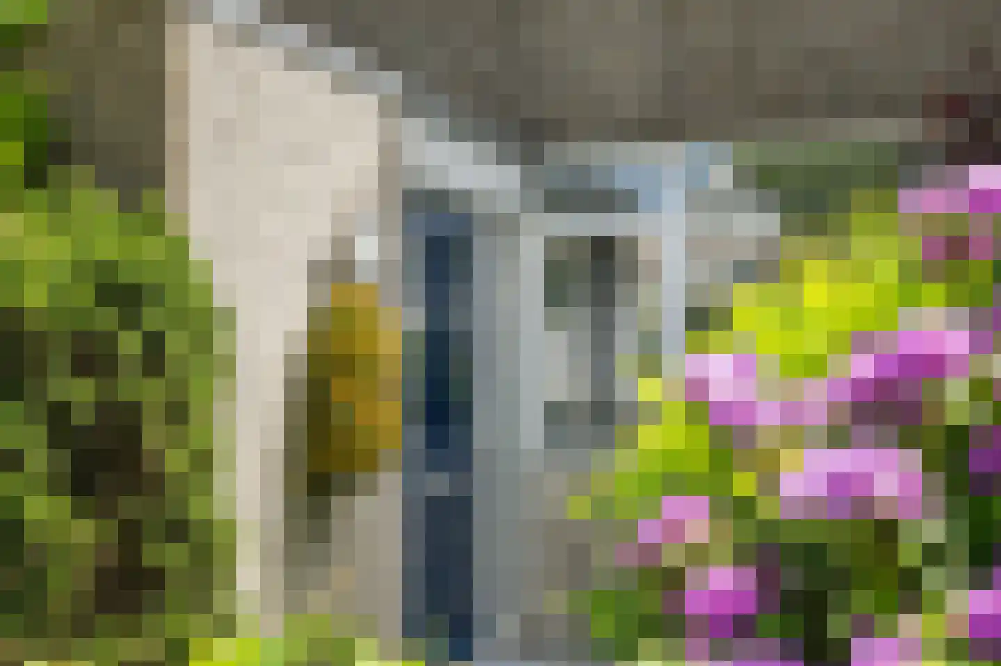 Vivaldi 13 Naaldwijk thumbnail 4