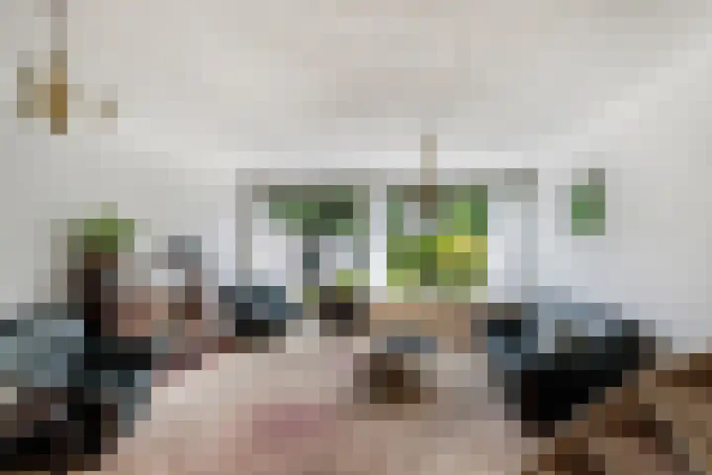 Vivaldi 13 Naaldwijk thumbnail 7