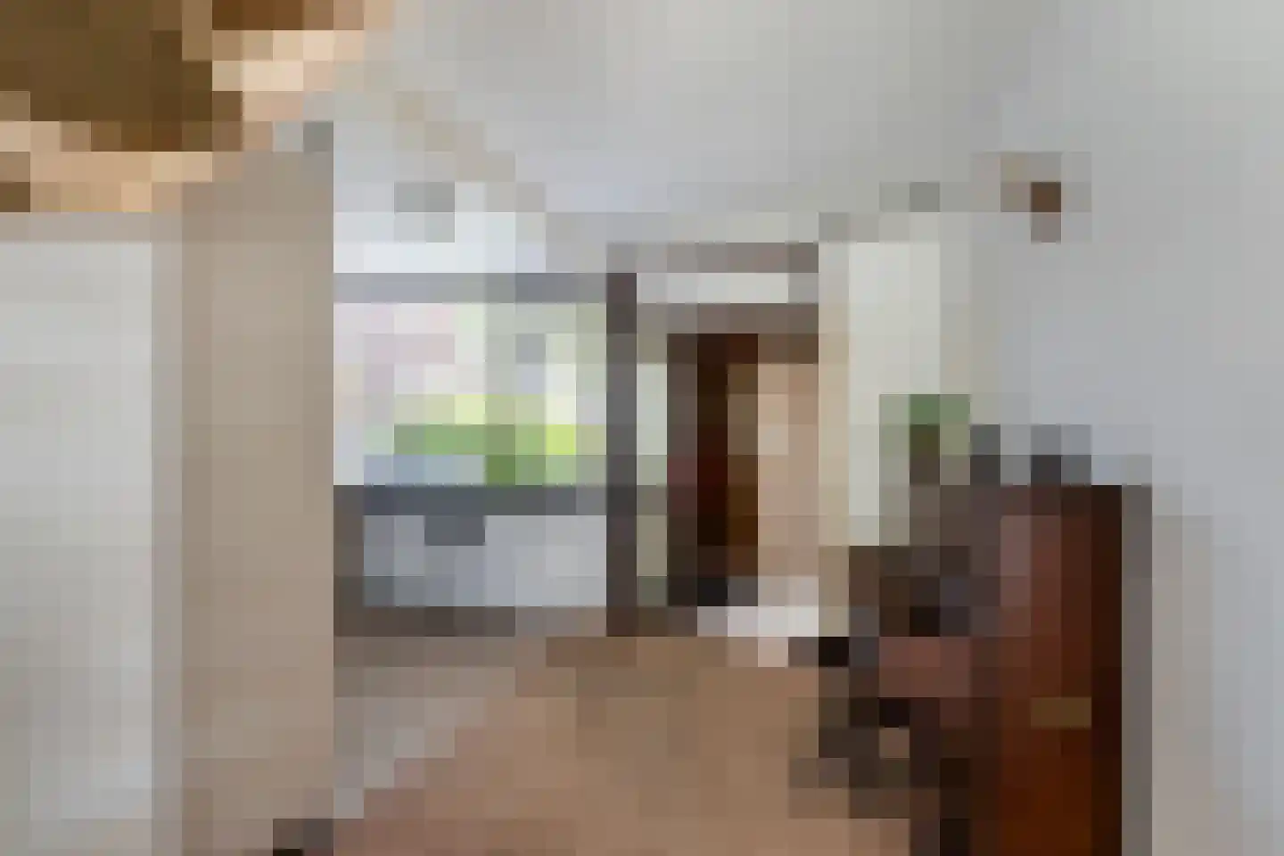 Vivaldi 13 Naaldwijk thumbnail 8