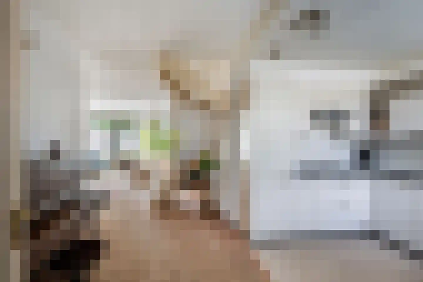 Vivaldi 13 Naaldwijk thumbnail 9