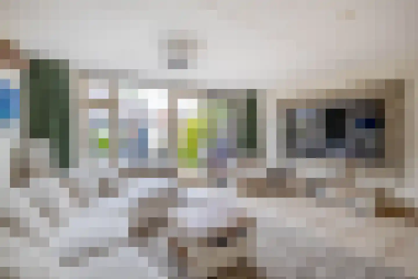 Vivaldi 21 Monster thumbnail 6