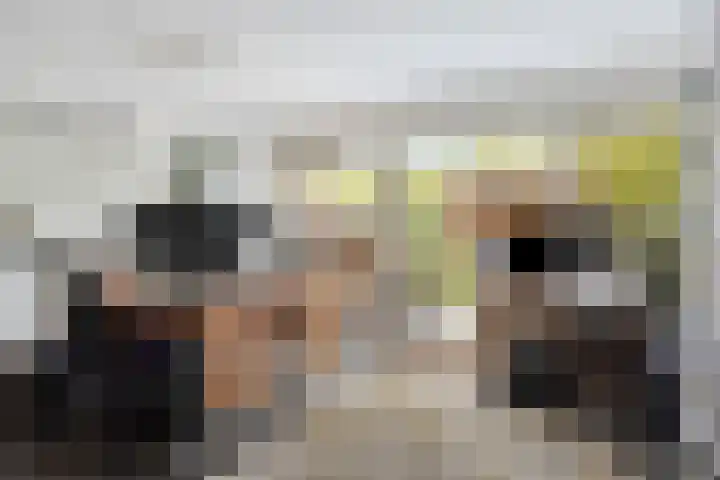 Vivaldihof 12 Alphen aan den Rijn thumbnail 10