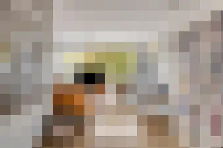 Vivaldihof 12 Alphen aan den Rijn thumbnail 16