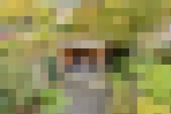Vivaldihof 12 Alphen aan den Rijn thumbnail 22
