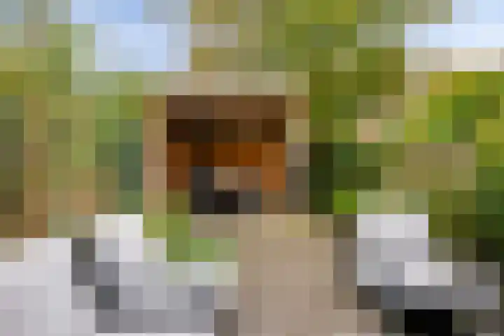 Vivaldihof 12 Alphen aan den Rijn thumbnail 4