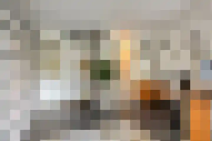 Vivaldihof 12 Alphen aan den Rijn thumbnail 9