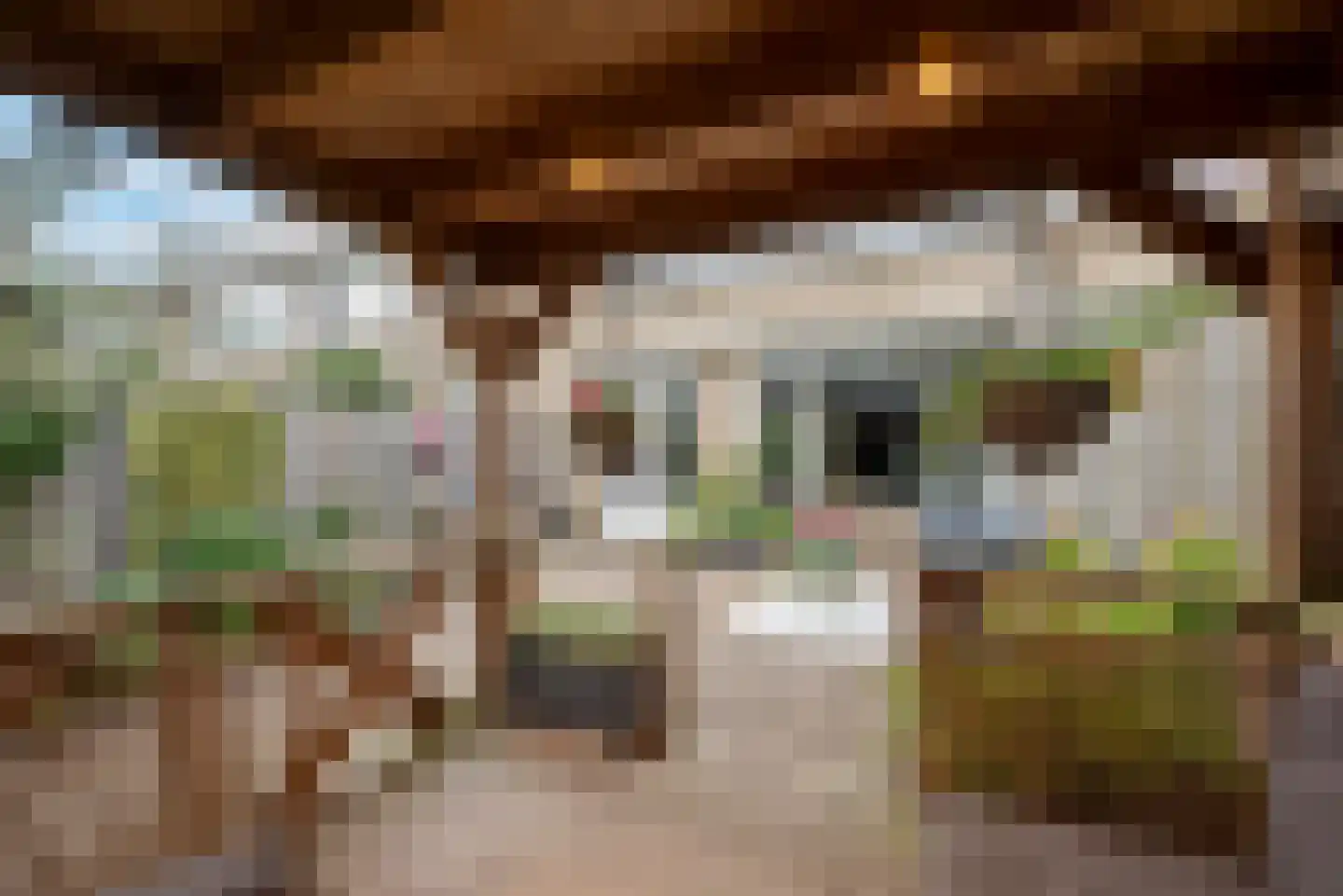 Vivaldihof 15 Alphen aan den Rijn thumbnail 16
