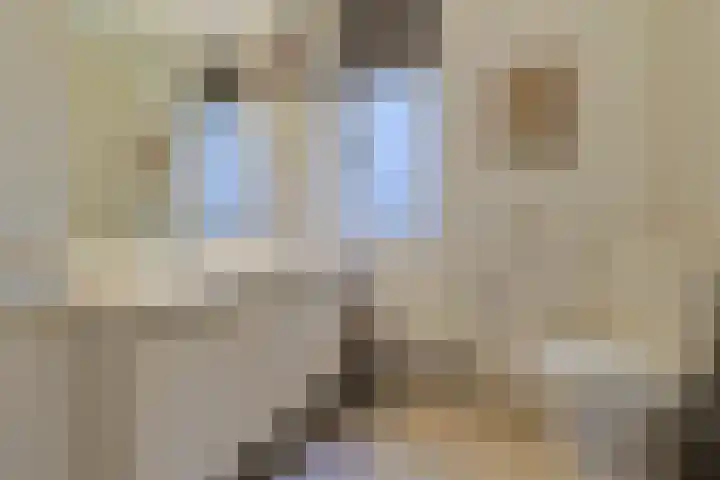 Vivaldihof 23 Alphen aan den Rijn thumbnail 33