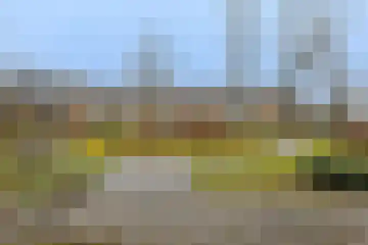 Vivaldihof 23 Alphen aan den Rijn thumbnail 4