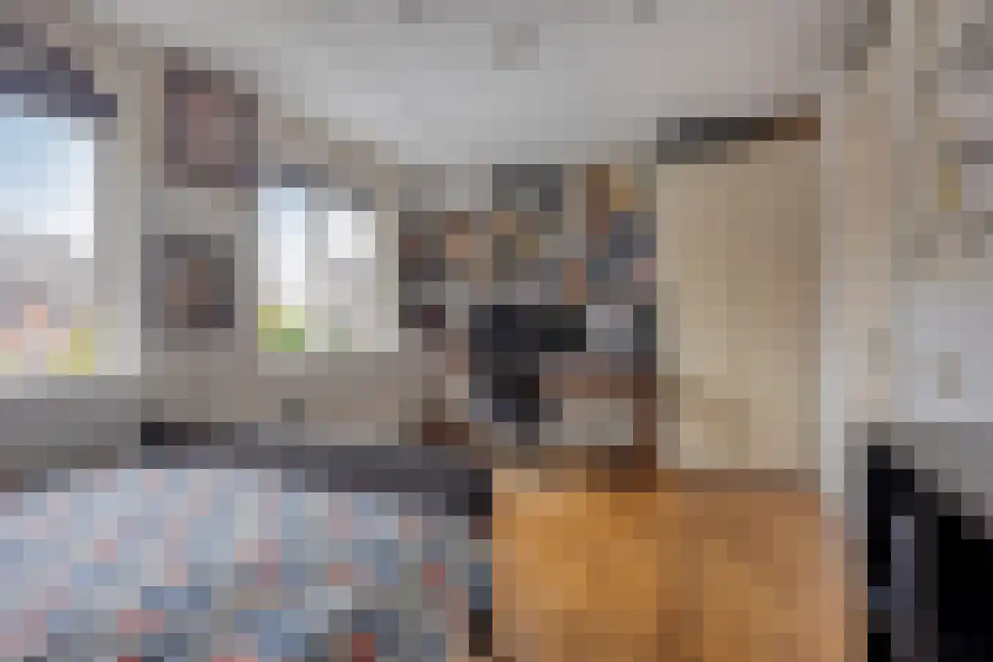 Vivaldilaan 102 Sliedrecht thumbnail 27