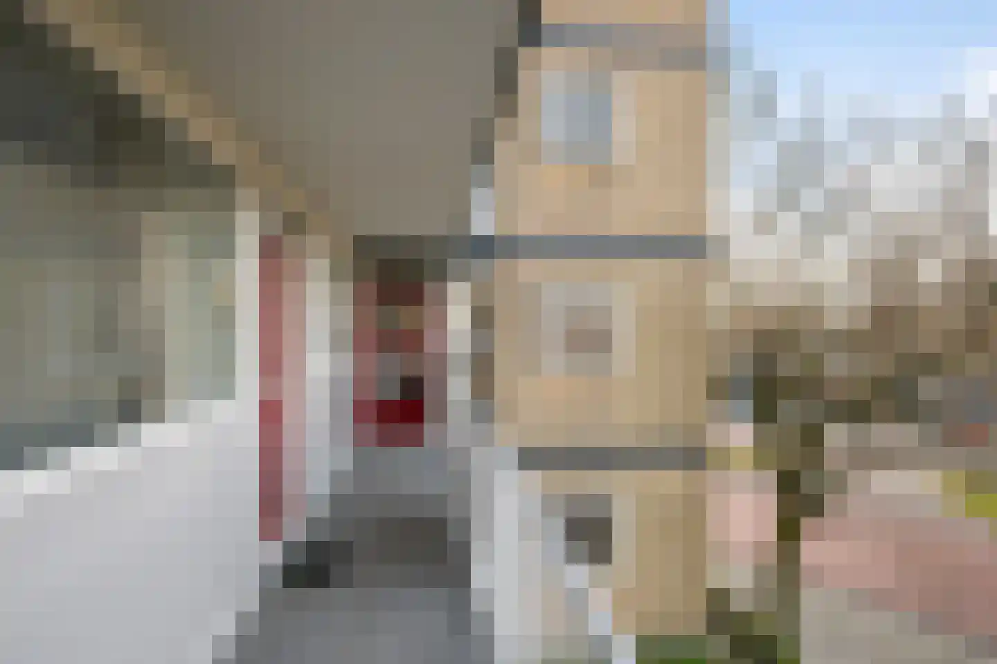 Vivaldilaan 119 Schiedam thumbnail 23