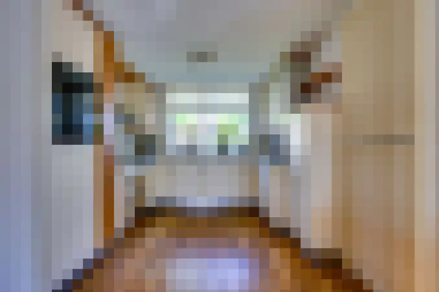 Vivaldilaan 12 Dirksland thumbnail 21