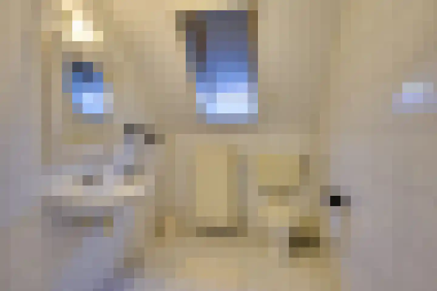 Vivaldilaan 12 Dirksland thumbnail 29