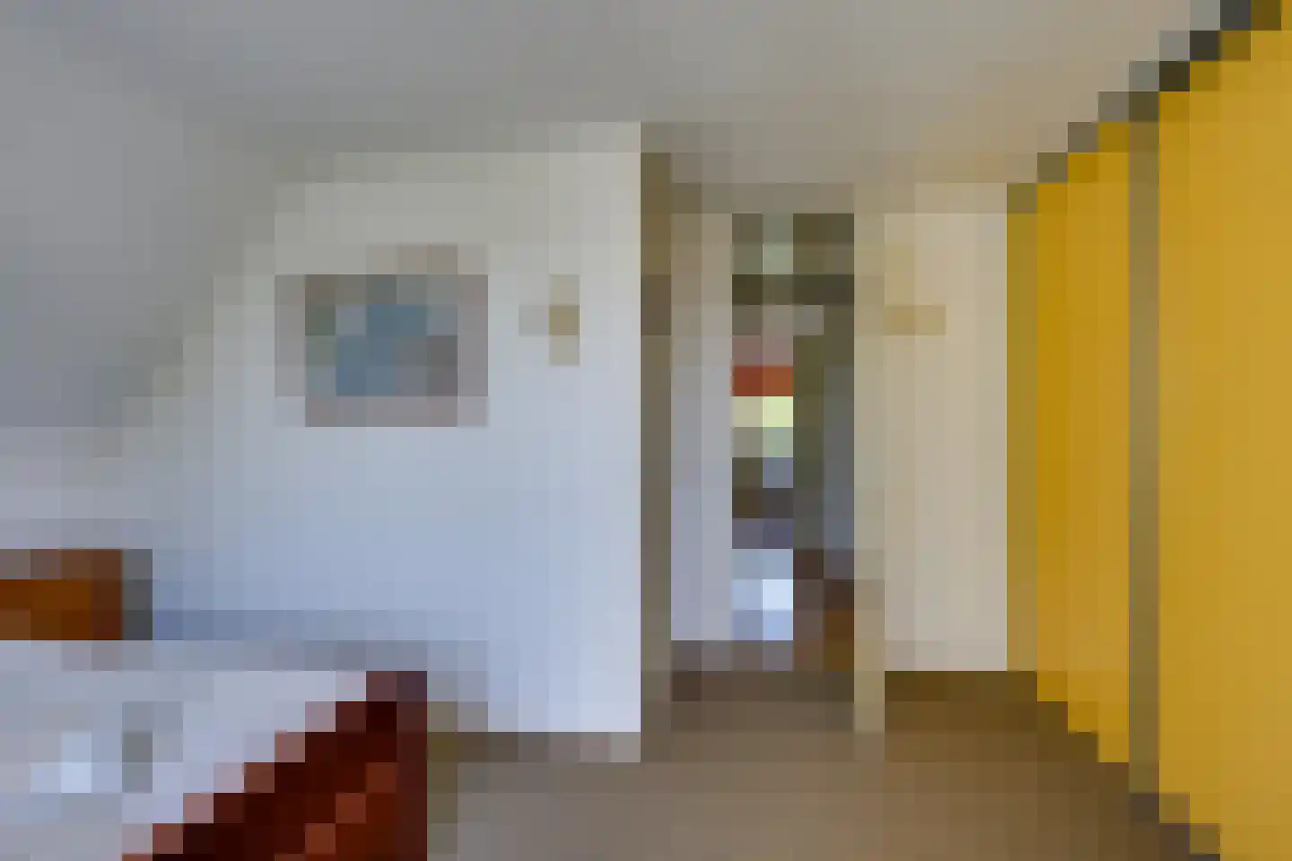 Vivaldilaan 12 Dirksland thumbnail 38