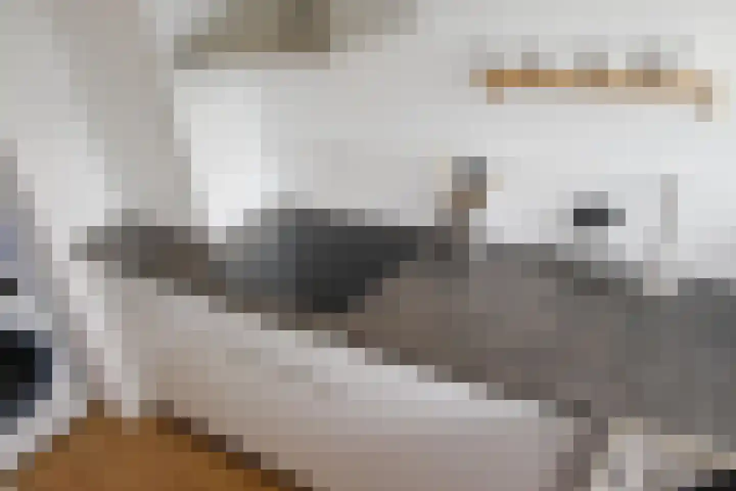 Vivaldilaan 125 Schiedam thumbnail 11