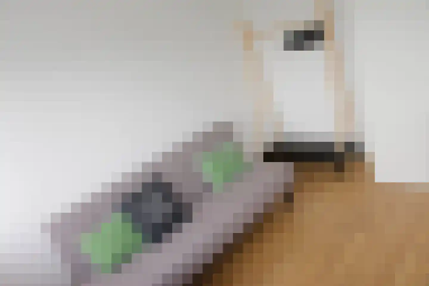 Vivaldilaan 125 Schiedam thumbnail 16