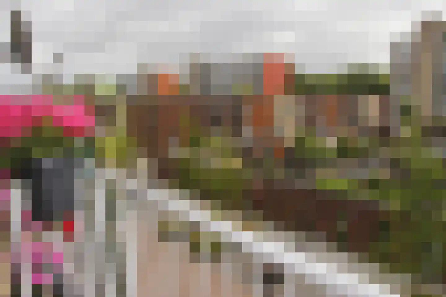 Vivaldilaan 125 Schiedam thumbnail 22