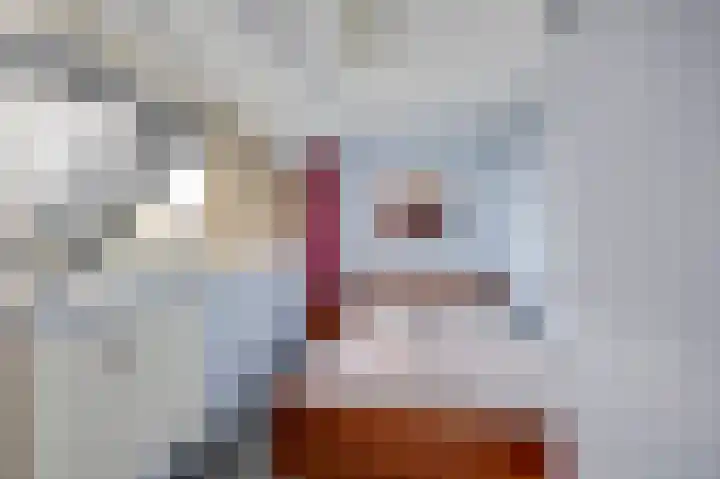 Vivaldilaan 147 Schiedam thumbnail 25
