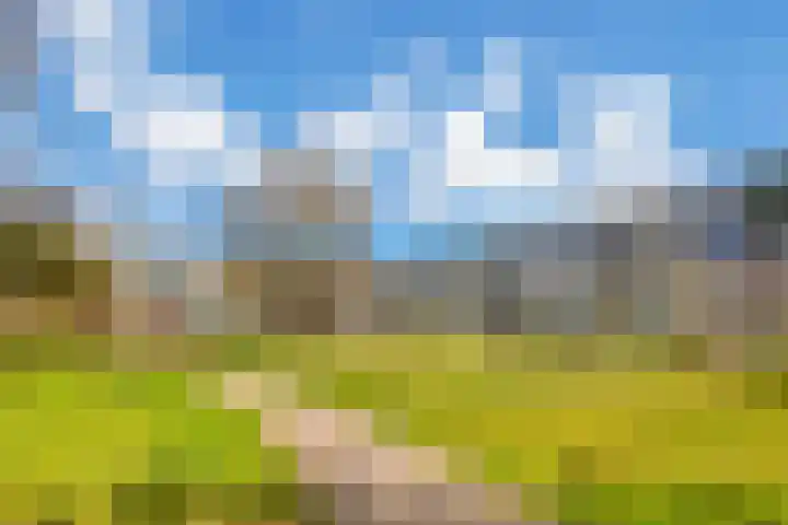 Vivaldilaan 147 Schiedam thumbnail 38