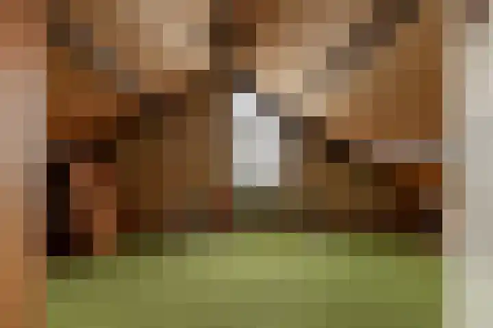 Vivaldilaan 17 Assen thumbnail 28