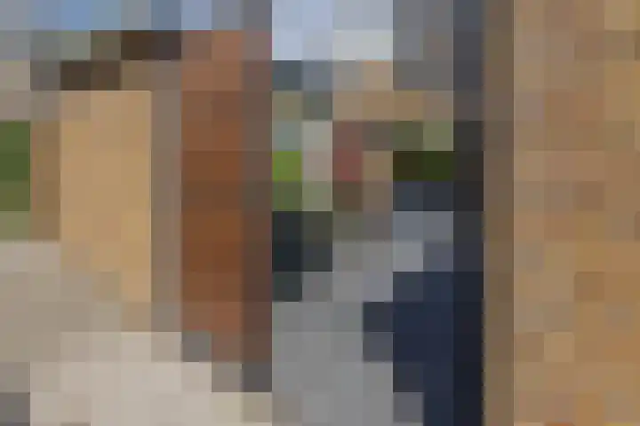 Vivaldilaan 3 Sliedrecht thumbnail 11