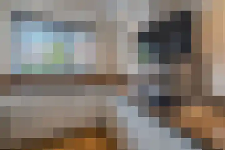 Vivaldilaan 3 Sliedrecht thumbnail 16