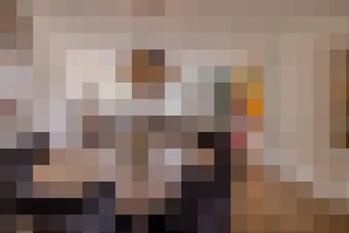 Vivaldilaan 3 Sliedrecht thumbnail 18