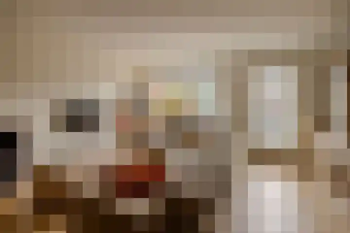 Vivaldilaan 3 Sliedrecht thumbnail 19