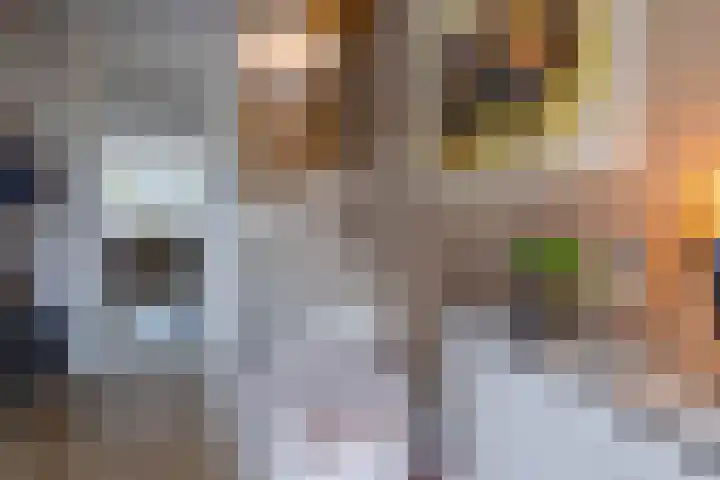 Vivaldilaan 3 Sliedrecht thumbnail 23