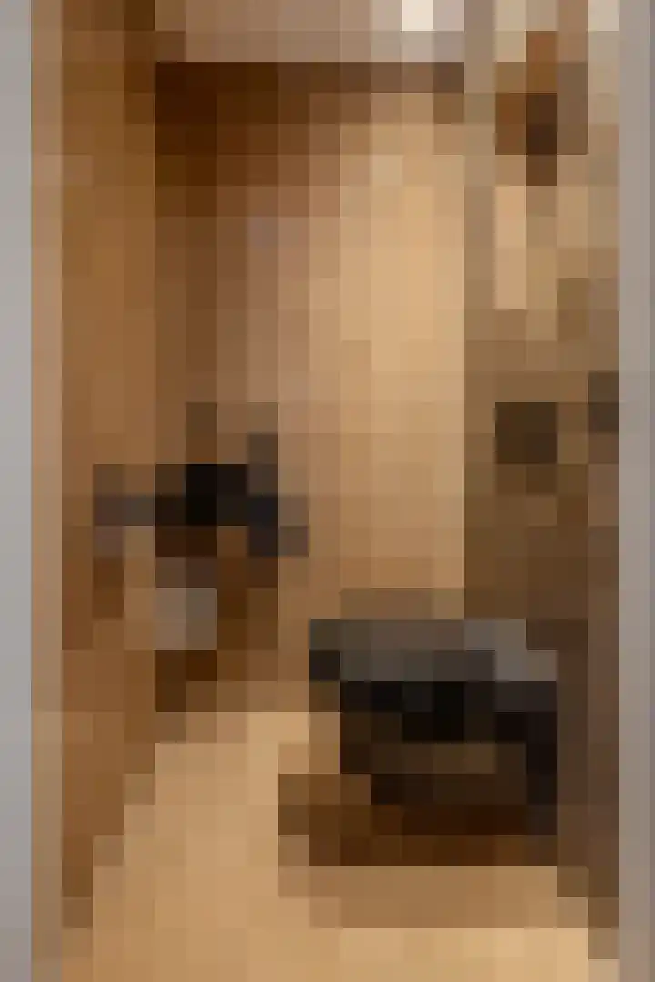 Vivaldilaan 3 Sliedrecht thumbnail 24